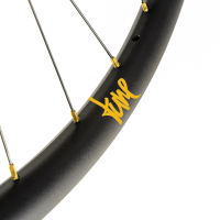 Tune Rear Wheel Disc, ENDURO and E-MTB, R30End, ClimbHill Boost 6B 32h, 12mm, Standard Bearings, HG10-12