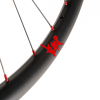 Tune Front Wheel Disc, ENDURO and E-MTB, R30End, KillHill Boost 6B 32h, 15mm, Standard Bearings