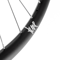 Tune Rear Wheel Disc, ENDURO and E-MTB, R30End, ClimbHill Boost 6B 32h, 12mm, Standard Bearings, HG10-12