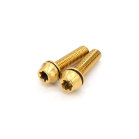 77designz Schrauben & Bolts, einzeln, M5x20 with washer for stems, Ti Bolt M5x20 T25 – Gold