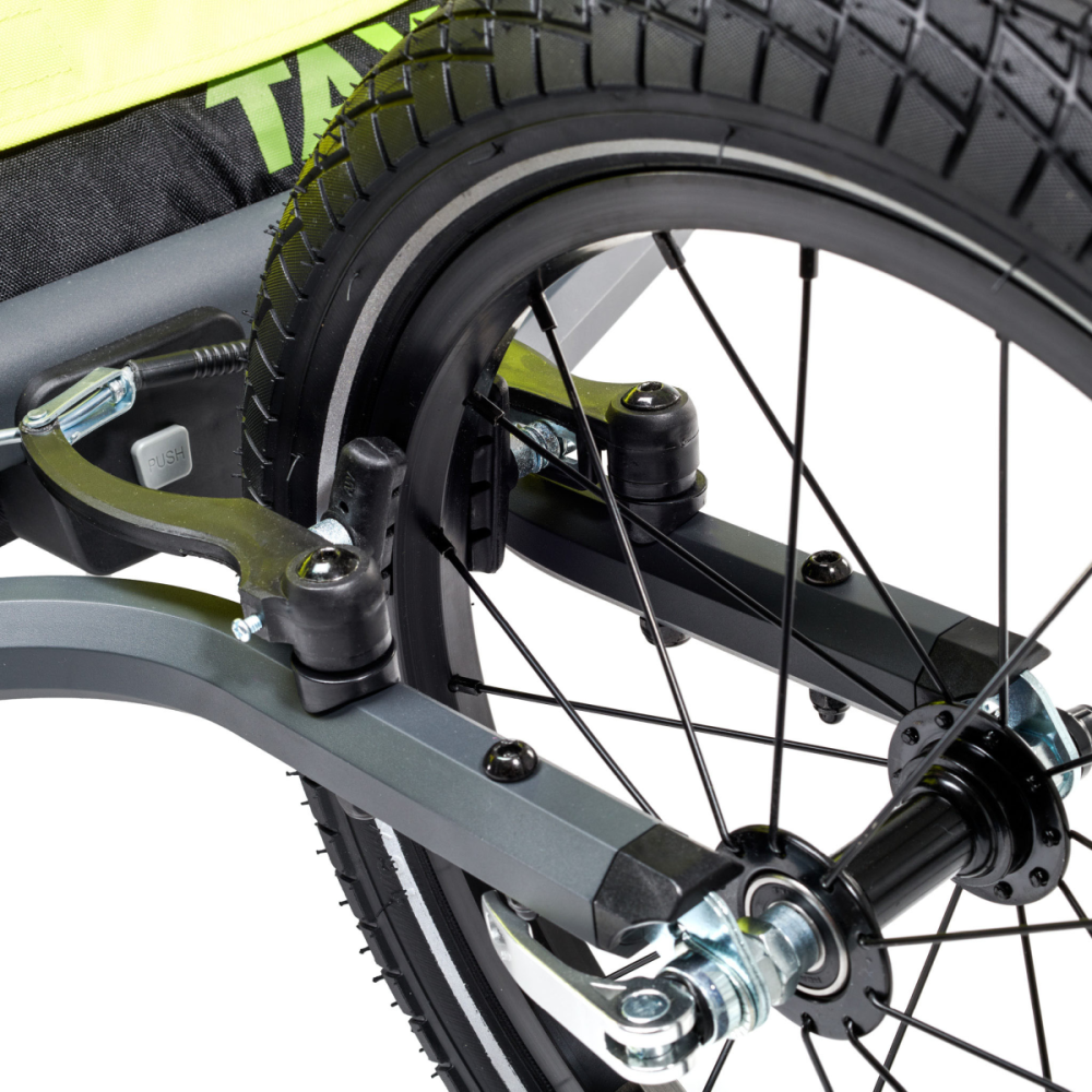 TAXXI | Elite two | Lime