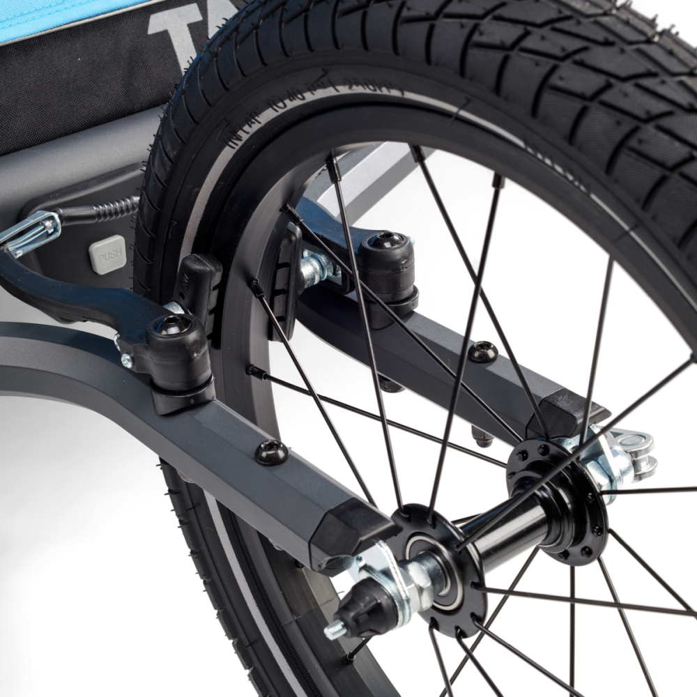 TAXXI | Elite one | Blue