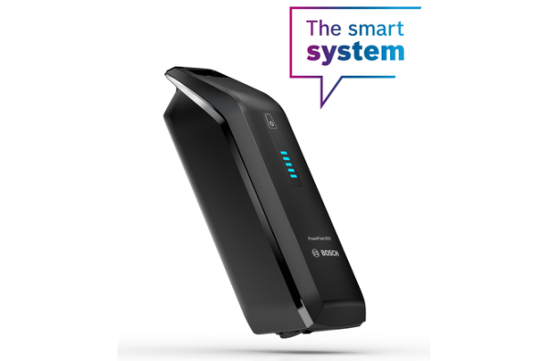 Bosch Rahmenakku PowerPack 800 Wh BBP3580 schwarz