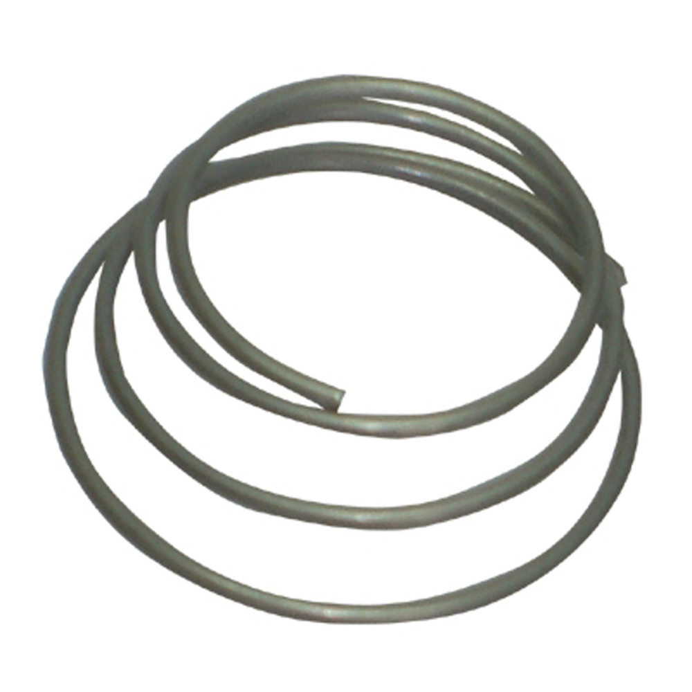 DT Swiss Feder für Zahnscheibe, 180/240/350