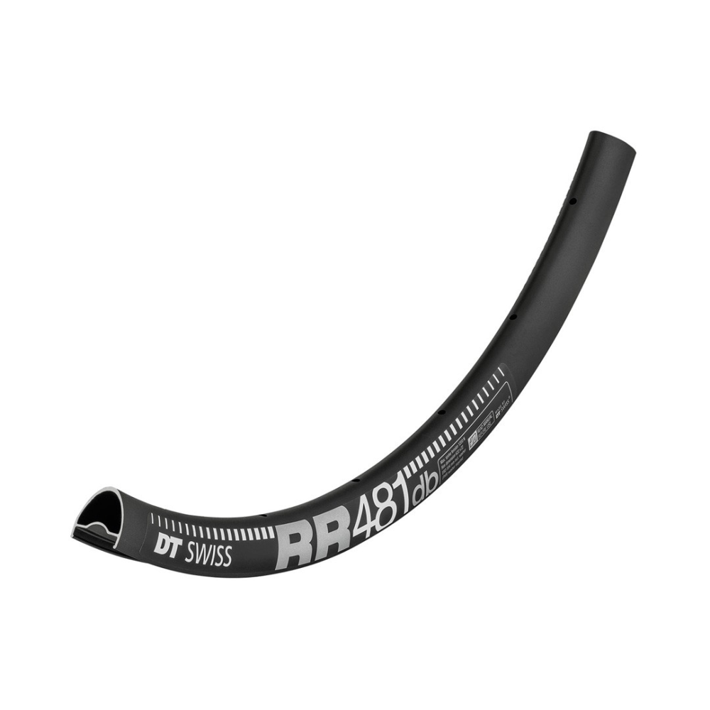 DT Swiss Felge RR 481 db 700c, Disc Brake, 22mm, 32 Loch, schwarz, 32