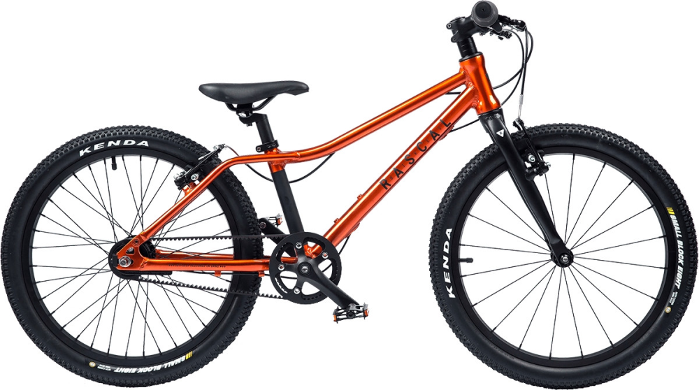 Rascal Bikes Rascal 20 Belt Drive 3-Gang