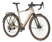 Bergamont E-Grandurance RD 8, XL