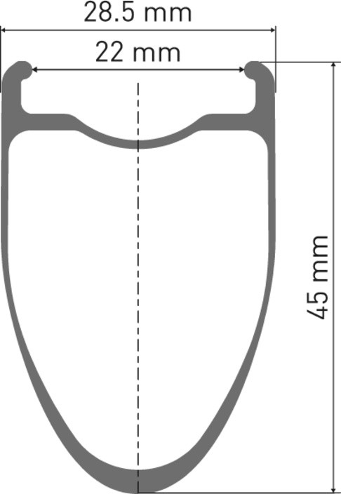 DT Swiss ERC 1100 Dicut 45 WTS Disc, Vorderrad