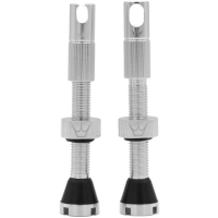 Peaty's Ventil, Chris King Tubeless MKII 42mm