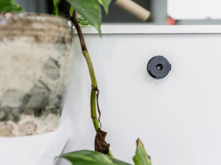 Quad Lock Quad Lock Adhesive Wall Mount (Twin Pack) V2