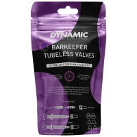 DYNAMIC Bar Keeper Tubeless Valves 60mm