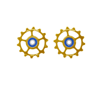 CeramicSpeed SRAM Eagle & Eagle AXS 1-12 Coated