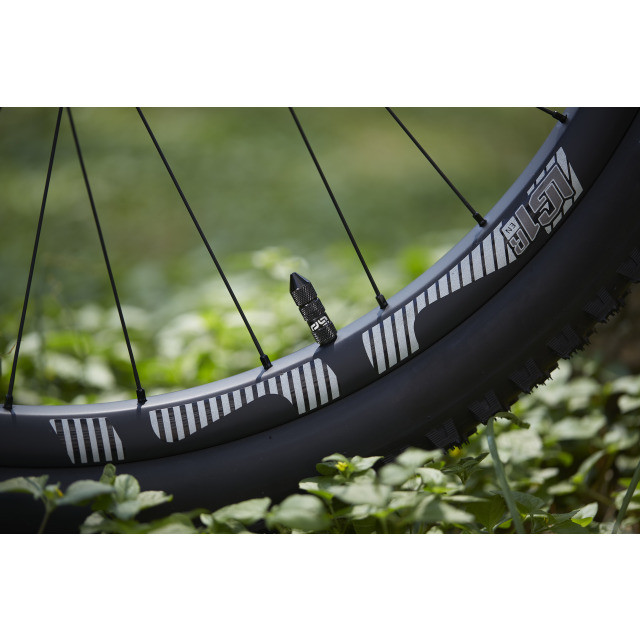 Ethirteen Tubelessventil Schrader Quickfill Gen2 Aluminium , 2 Stk 16-24mm, Schwarz