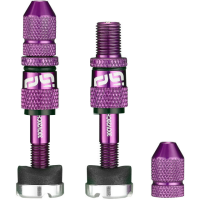 Ethirteen Tubelessventil Schrader Quickfill Gen2 Aluminium , 2 Stk 16-24mm, Violet Purple