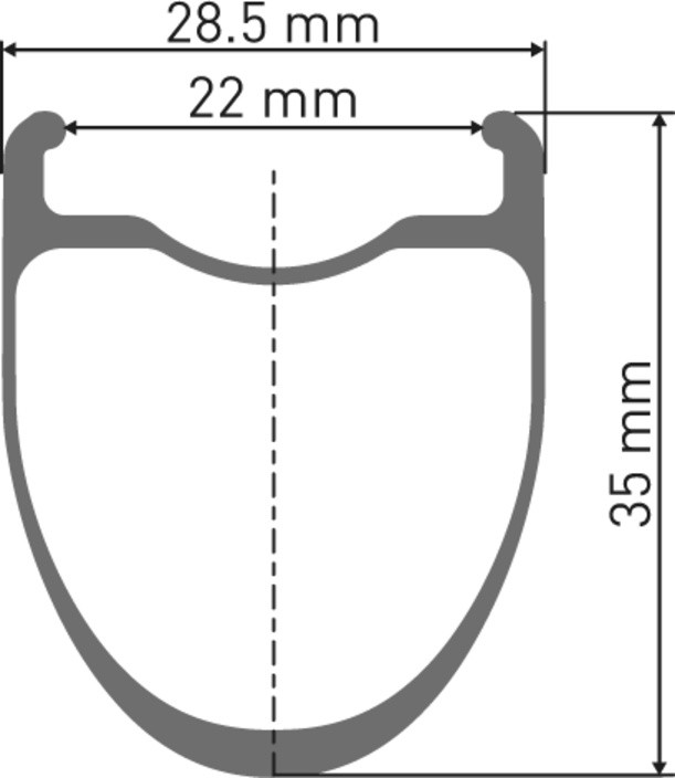 DT Swiss ERC 1400 DICUT Laufrad 700c CL 35 100/12mm WTS