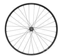 NEWMEN Evolution SL X.R.25 Gravel 12 x 142mm Centerlock Shimano 9/10/11/12 fach Laufrad hinten