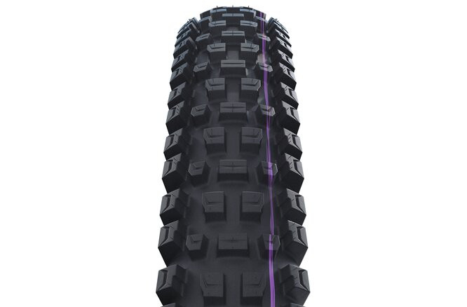 Schwalbe Pneu Albert 29x2.50 Gravity Pro Addix Soft TL-Ready black