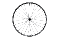 Bike Ahead SAFEWING 30 XC, FRONT, 15x110 mm, 29", (DT SWISS 240 EXP HUB)