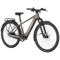 Bergamont Helix 10 Belt, warm silver, M