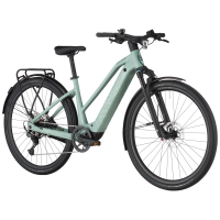 Bergamont Helix 20 Slope, sage green, M