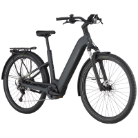 Bergamont E-Horizon Sport 20 Wave, flaky black, L