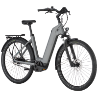 Bergamont E-Horizon Tour 30 Belt Wave, titanium silver, L