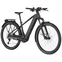 Bergamont E-Revox Tour 20, flaky black, M