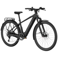 Bergamont Helix 20, black matt, M