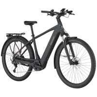 Bergamont E-Horizon Sport 20, flaky black, L