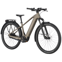 Bergamont E-Revox Tour 10 Belt, warm silver, XL