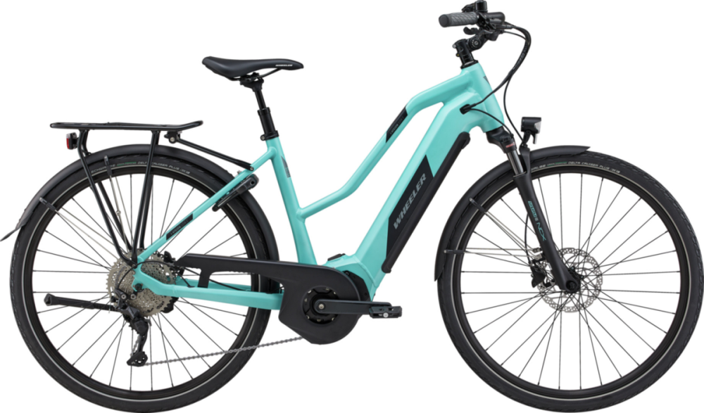 Wheeler i-VISION GOR C mint/black, S