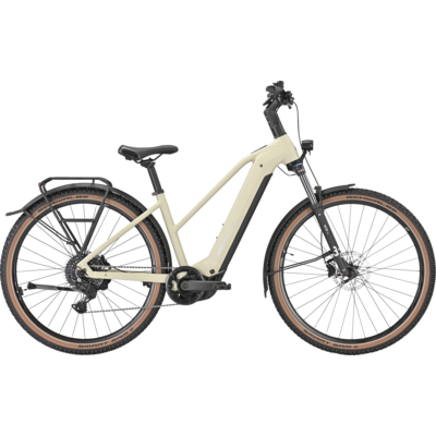 Bulls Iconic EVO 1, Trapez, S