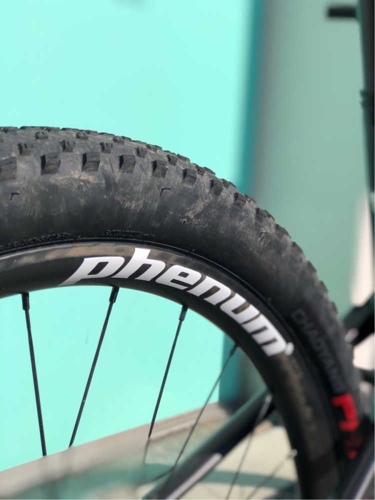 Ceetec Phenum FS10 120mm, Testbike