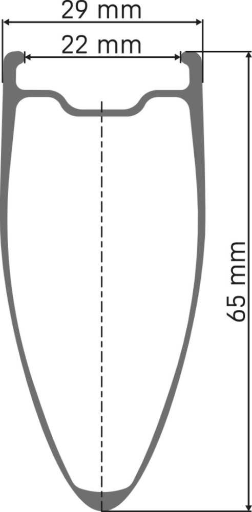 DT Swiss ARC 1400 DICUT Laufrad 700c CL 65 100/12 WTS