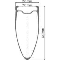 DT Swiss ARC 1400 Dicut 65 Disc Vorderrad, Mod. 25, Carbon, CL, 12x100mm, 22mm