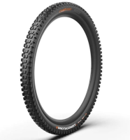 Cast Protagonist Gravity TLR DualWall SmartEVO DH 29x2.4 Reifen