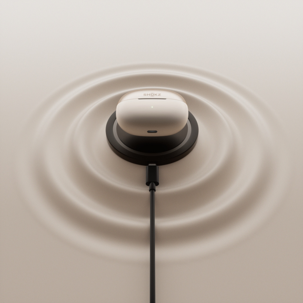 Shokz OpenDots One, Grau