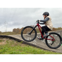 Rascal Bikes Wild 26 Kette 9-Gang, Ruby Red 26 Zoll