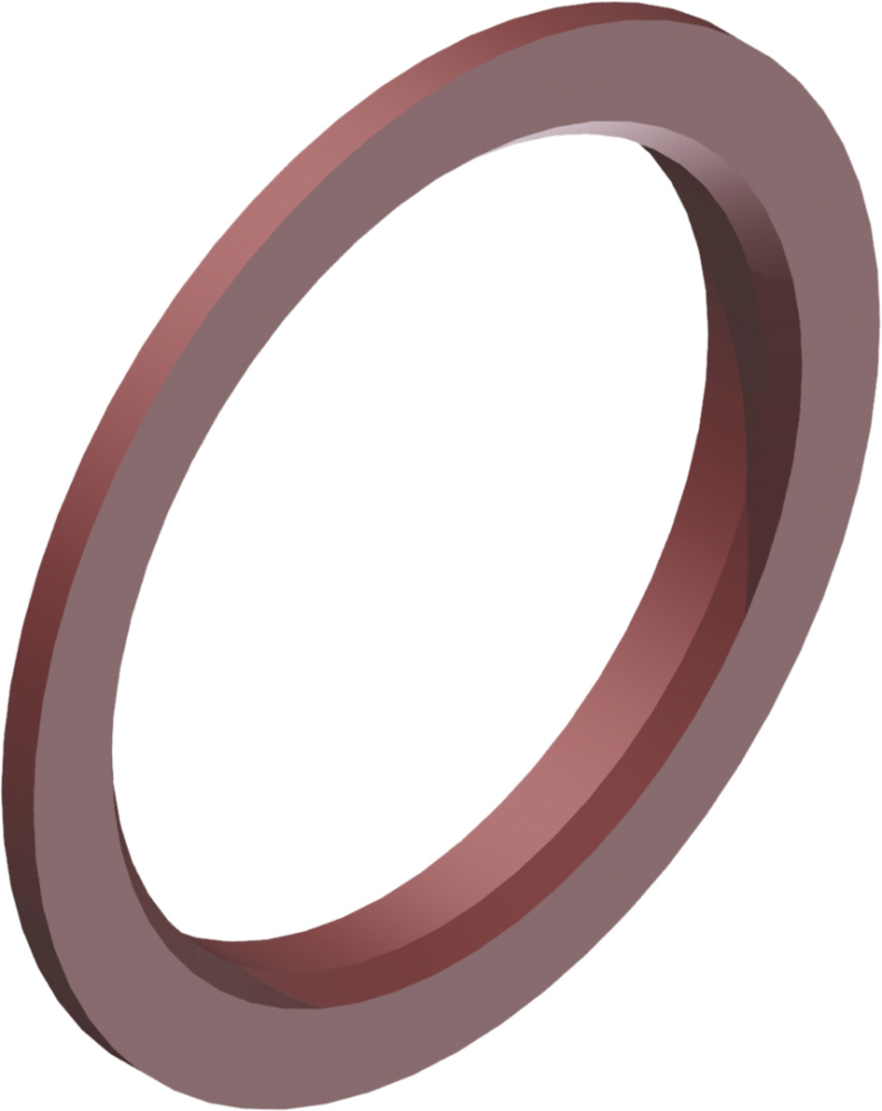 DT Swiss Pass-Scheibe 25.9/19.9x2.3 RAT EXP