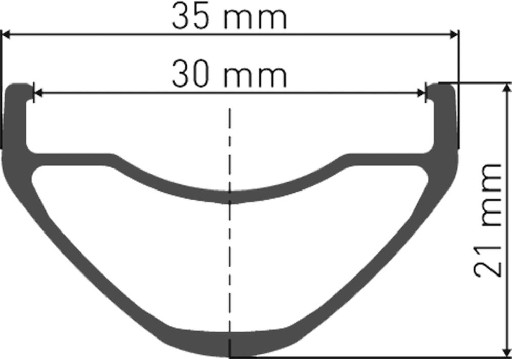 DT Swiss DT FR 1950 CLASSIC Laufrad 29" IS 30 110/20