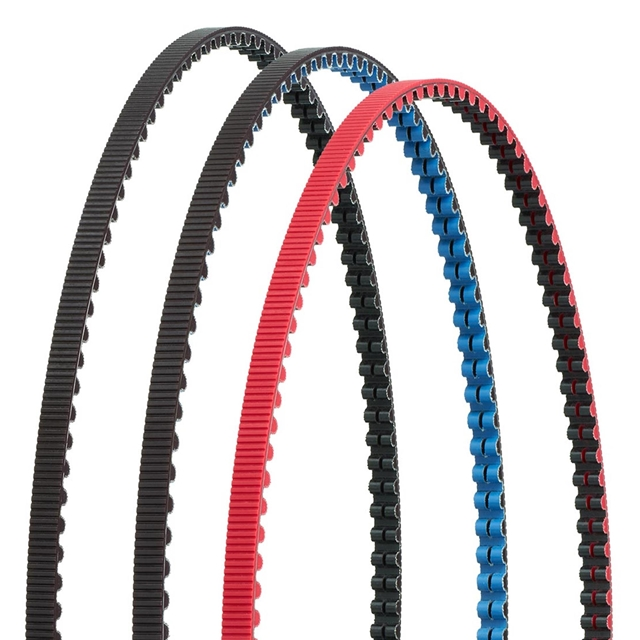 Gates Carbon Drive Zahnriemen CDX