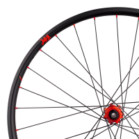 Tune Rear Wheel Disc, Road Carbon, SB20Dsky, Prince CL 28h, 12mm, Std. Bearings, HG10/11/12