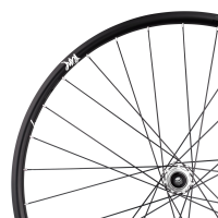 Tune Rear Wheel Disc, Road Carbon, SB20Dsky, Prince CL 28h, 12mm, Standard Bearings, HG10/11/12