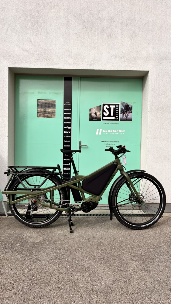 Tern Orox S12 29' Perf. CX w 800WhPine/Gray, M: 155-185 cm